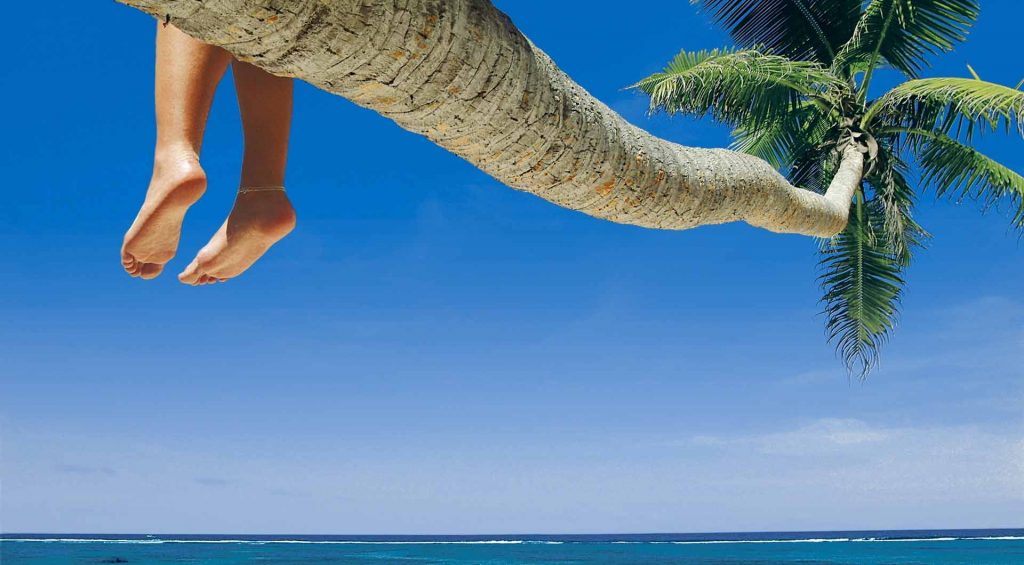 Holiday until 16/8/2016 9