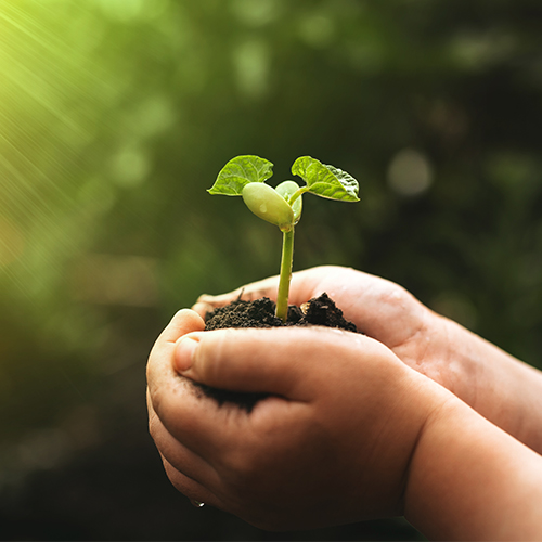 Παγκόσμια Ημέρα Βιοποικιλότητας 3
