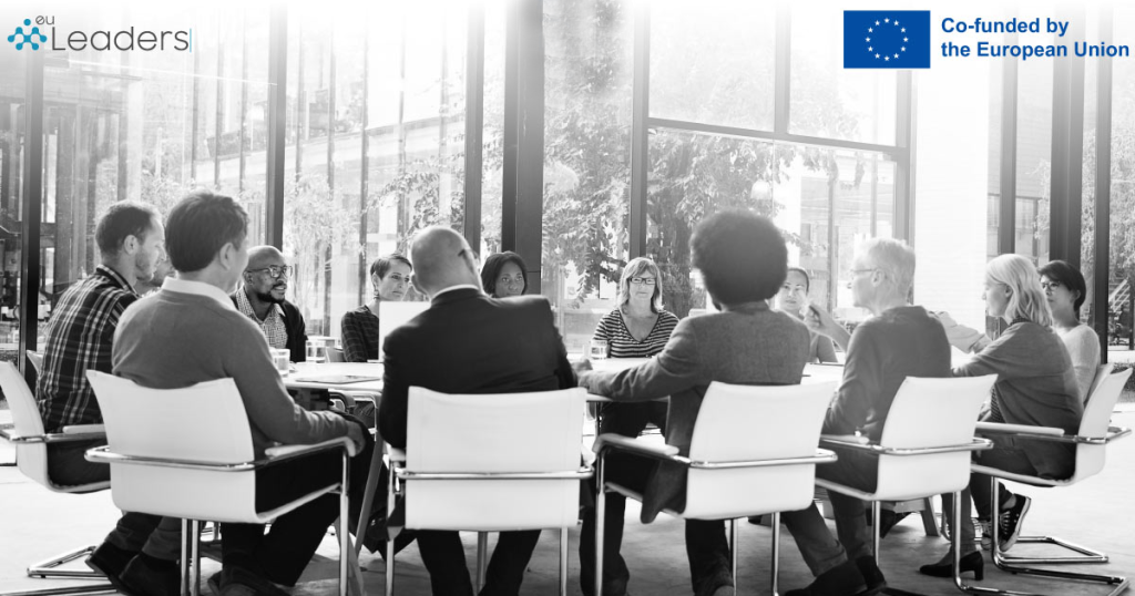 Focus groups για το EU Leaders